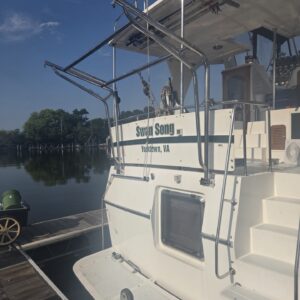 Martek Pivoting Davits
